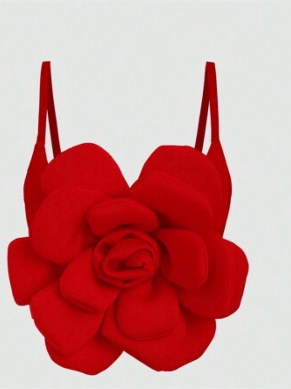 Red Floral 3D Rose Appliqué Bustier Top